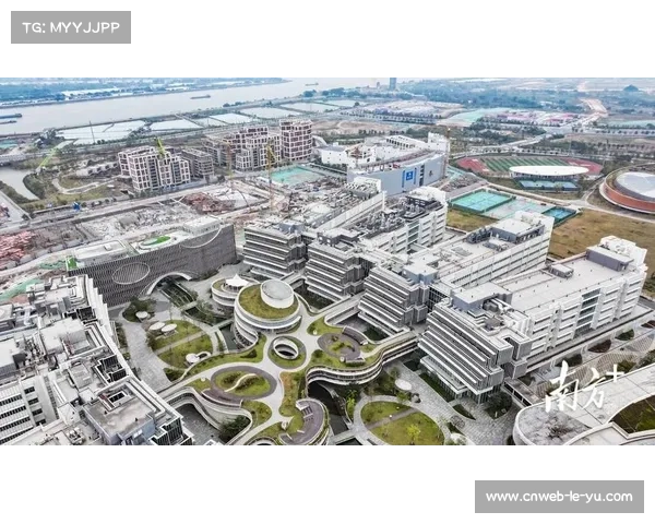 由于智能调度引擎的算法升级 体育直播质量管理体系在创新周期内提速